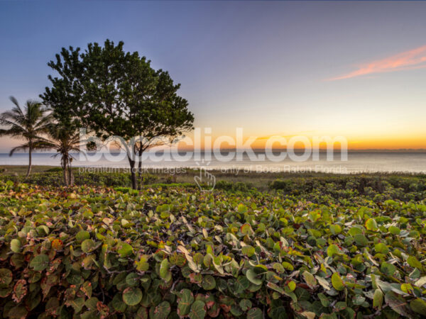 Boca Raton Sunrise New