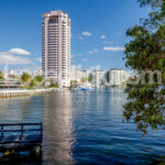 Boca Raton - Across the Water Mango Tree