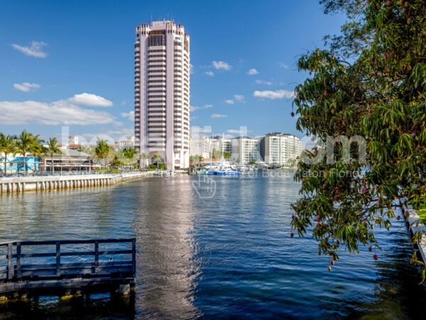 Boca Raton - Across the Water Mango Tree