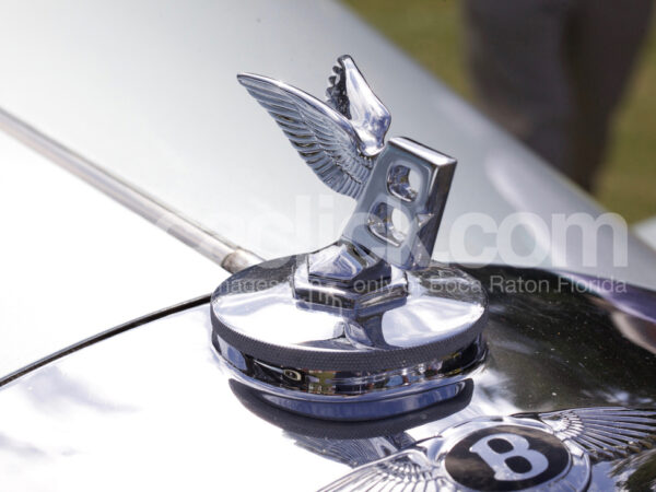 Bentley Ornament Detail