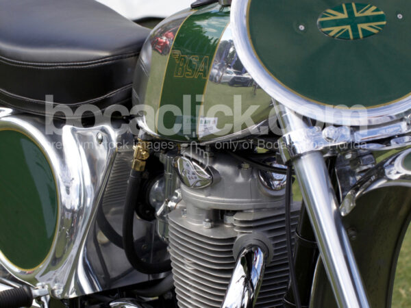 BSA Detail Green
