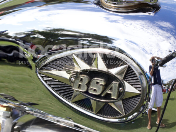BSA Detail
