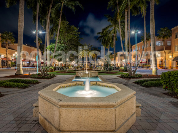 Mizner Park - Fountain
