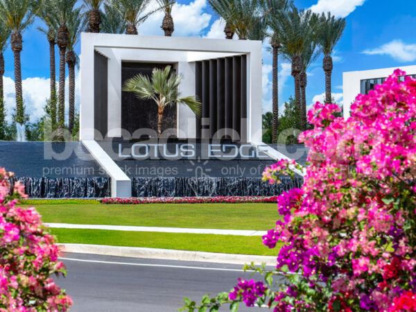 Lotus Edge Flowers © BocaClick.com