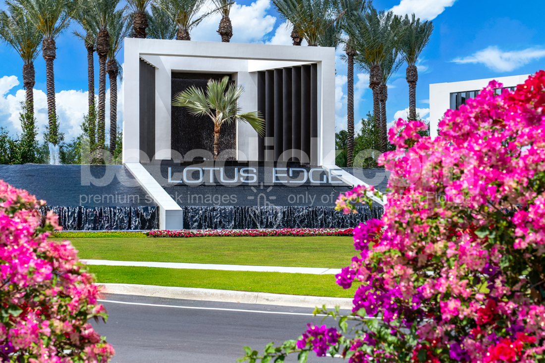 Lotus Edge Flowers