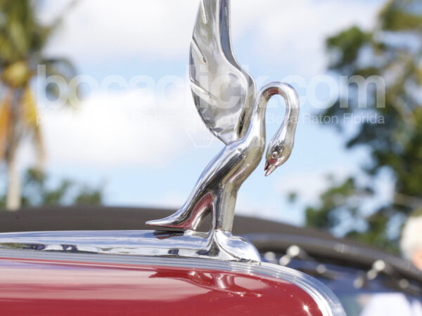 Packard Swan Ornament
