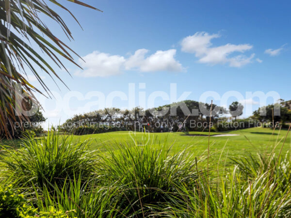 Red Reef Golf Foreground