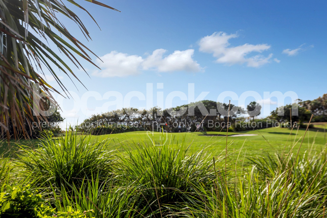 Red Reef Golf Foreground