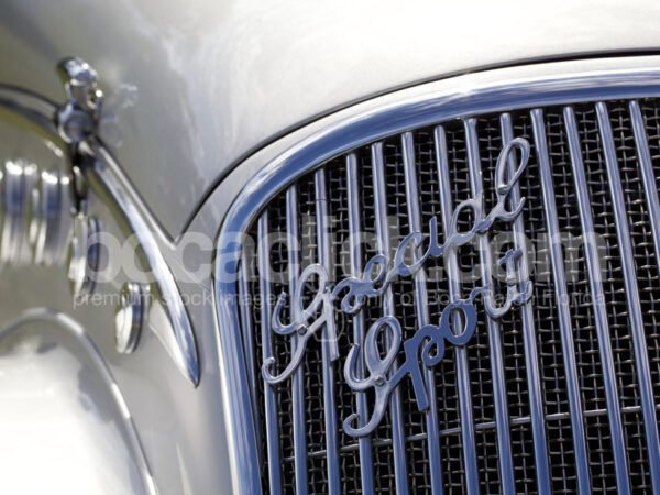 Sport Roadster Detail