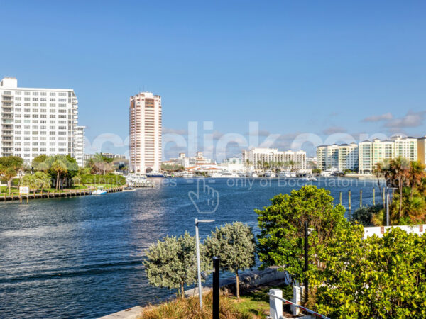 Lake Boca Trees