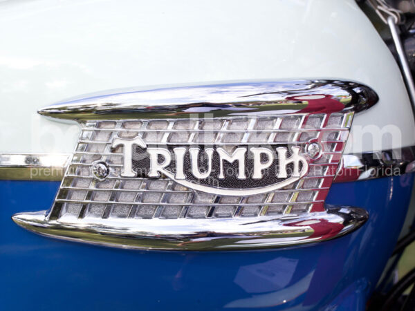 Triumph Detail