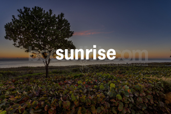 Sunrise