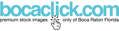 Boca Click